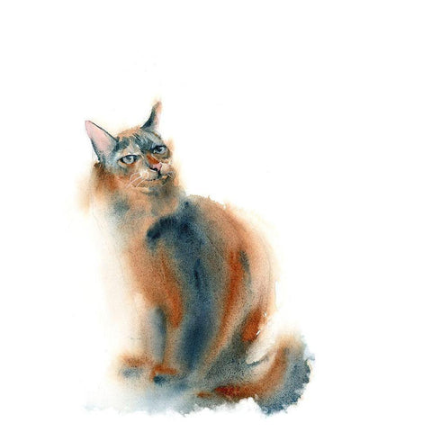 Ginger Cat Black Modern Wood Framed Art Print with Double Matting by Shefranov, Olga