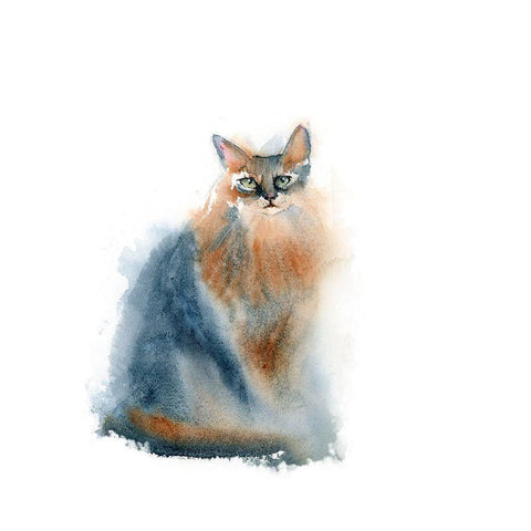 Ginger Cat II Black Modern Wood Framed Art Print with Double Matting by Shefranov, Olga