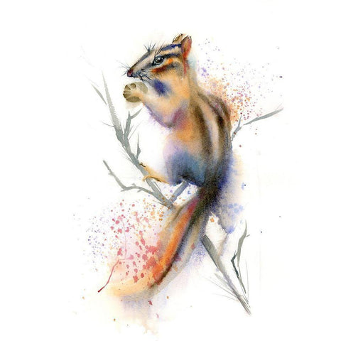 Nibbles White Modern Wood Framed Art Print by Shefranov, Olga