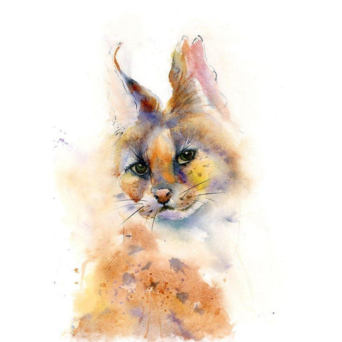 Kit Black Modern Wood Framed Art Print with Double Matting by Shefranov, Olga