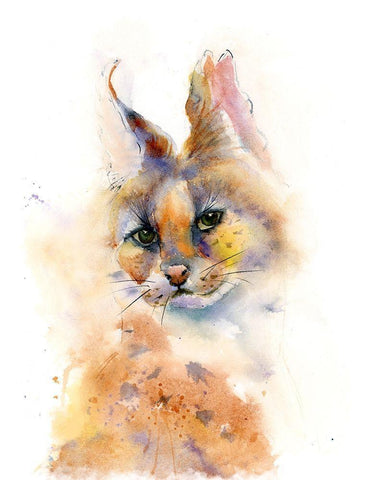 Kit White Modern Wood Framed Art Print with Double Matting by Shefranov, Olga