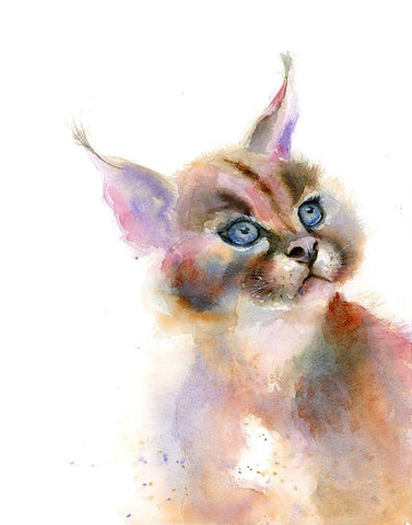 Kit II Black Ornate Wood Framed Art Print with Double Matting by Shefranov, Olga