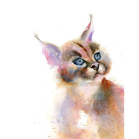 Kit II White Modern Wood Framed Art Print by Shefranov, Olga