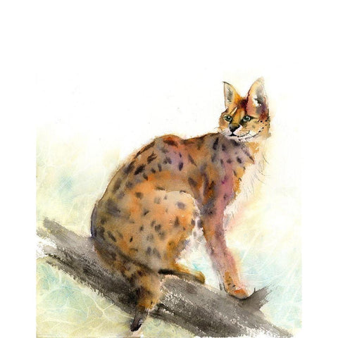 Wild Kit Black Modern Wood Framed Art Print with Double Matting by Shefranov, Olga