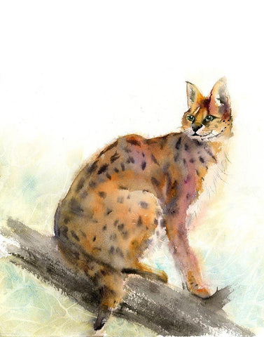 Wild Kit White Modern Wood Framed Art Print with Double Matting by Shefranov, Olga