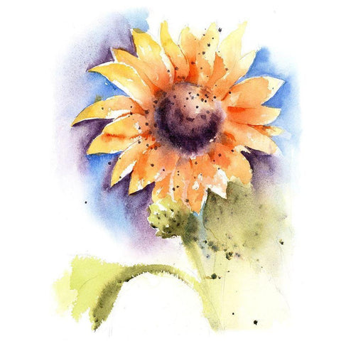 Sunflower I Black Modern Wood Framed Art Print with Double Matting by Shefranov, Olga