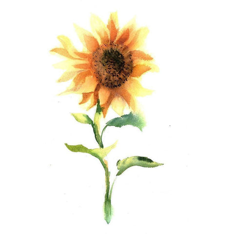 Sunflower III Black Modern Wood Framed Art Print by Shefranov, Olga