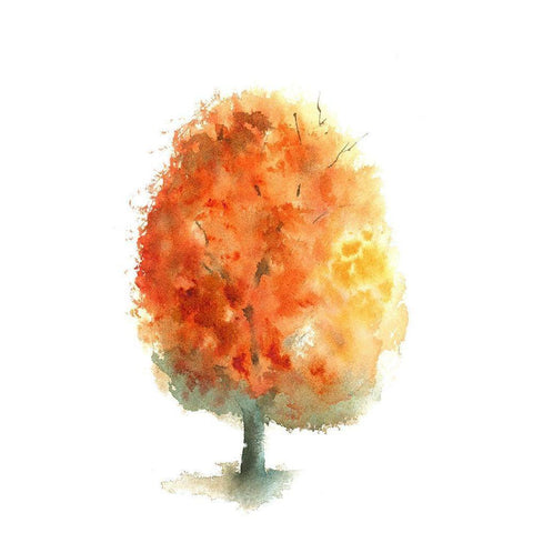 Fall Tree II Black Modern Wood Framed Art Print with Double Matting by Shefranov, Olga