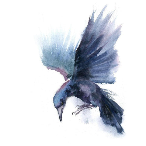 Crow I Black Modern Wood Framed Art Print by Shefranov, Olga