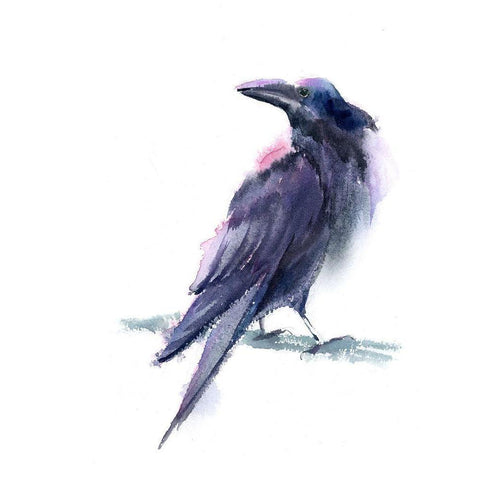 Crow II White Modern Wood Framed Art Print by Shefranov, Olga