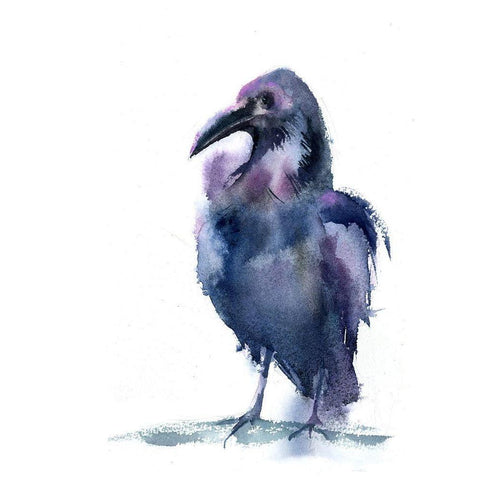 Crow IV Black Modern Wood Framed Art Print with Double Matting by Shefranov, Olga