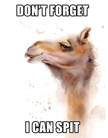 I Can Spit White Modern Wood Framed Art Print with Double Matting by Shefranov, Olga