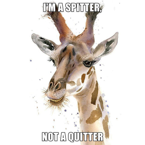 Im a Spitter Black Modern Wood Framed Art Print by Shefranov, Olga