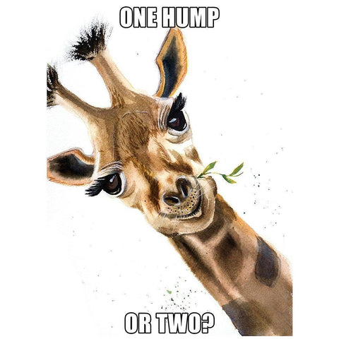 One Hump or Two Black Modern Wood Framed Art Print by Shefranov, Olga