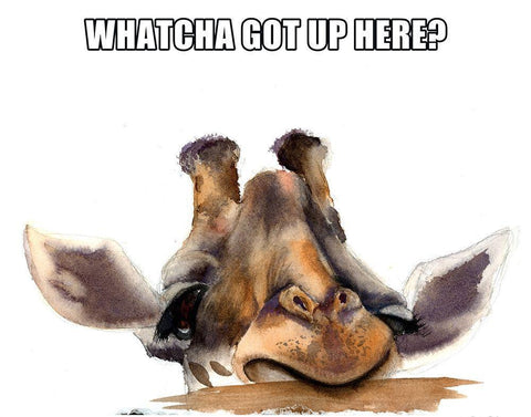 Whatcha Got Up Here? Black Ornate Wood Framed Art Print with Double Matting by Shefranov, Olga