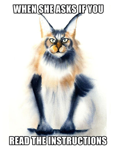 Instructions Black Ornate Wood Framed Art Print with Double Matting by Shefranov, Olga