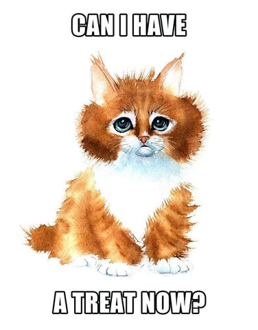 Can I Have a Treat? White Modern Wood Framed Art Print with Double Matting by Shefranov, Olga