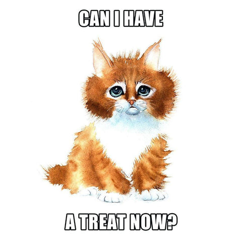 Can I Have a Treat? Black Modern Wood Framed Art Print by Shefranov, Olga