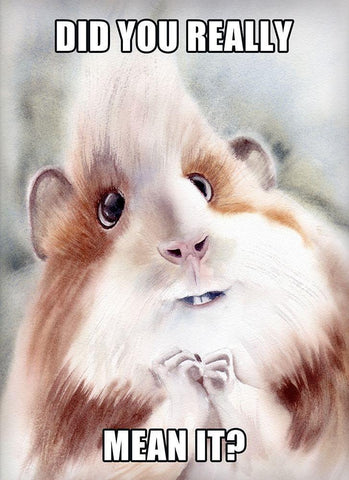 Did You Mean It? White Modern Wood Framed Art Print with Double Matting by Shefranov, Olga