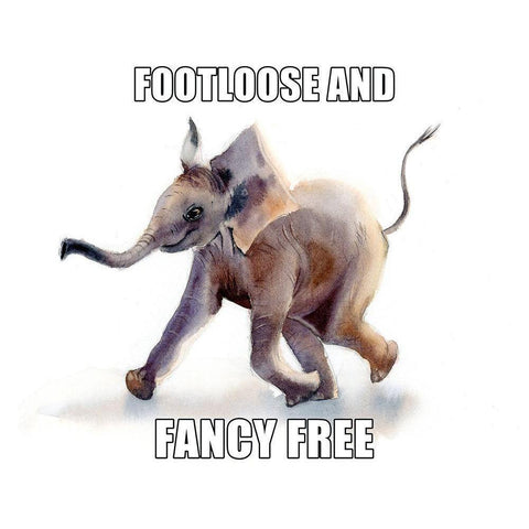 Footloose and Fancy Free Black Modern Wood Framed Art Print by Shefranov, Olga