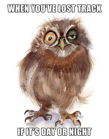 Day or Night Black Ornate Wood Framed Art Print with Double Matting by Shefranov, Olga