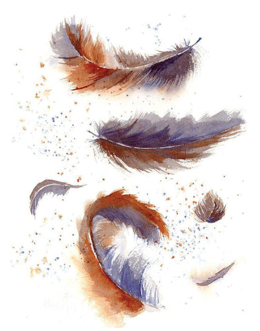 Feather Fiesta Black Ornate Wood Framed Art Print with Double Matting by Shefranov, Olga