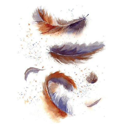 Feather Fiesta Black Modern Wood Framed Art Print by Shefranov, Olga