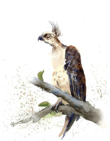 Not Today Black Ornate Wood Framed Art Print with Double Matting by Shefranov, Olga