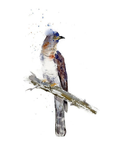 Lonely Bird White Modern Wood Framed Art Print with Double Matting by Shefranov, Olga