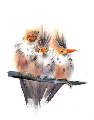 Three Amigos I White Modern Wood Framed Art Print with Double Matting by Shefranov, Olga