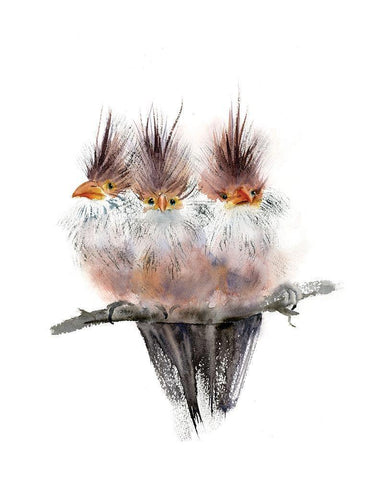 Three Amigos II White Modern Wood Framed Art Print with Double Matting by Shefranov, Olga