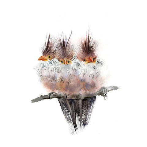 Three Amigos II Black Modern Wood Framed Art Print by Shefranov, Olga