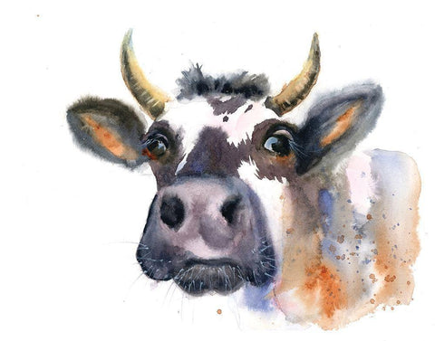 Cow III White Modern Wood Framed Art Print with Double Matting by Shefranov, Olga