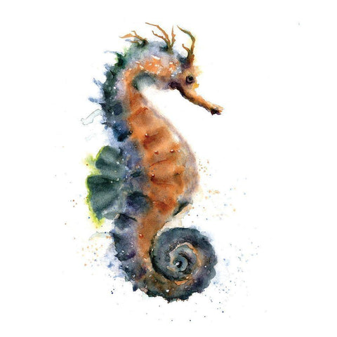 Seahorse I Black Modern Wood Framed Art Print by Shefranov, Olga