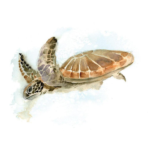 Turtle Gold Ornate Wood Framed Art Print with Double Matting by Shefranov, Olga