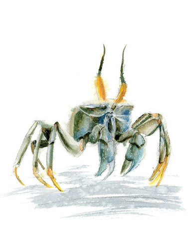 Crag White Modern Wood Framed Art Print with Double Matting by Shefranov, Olga