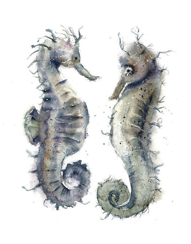 Seahorse Pair Black Ornate Wood Framed Art Print with Double Matting by Shefranov, Olga