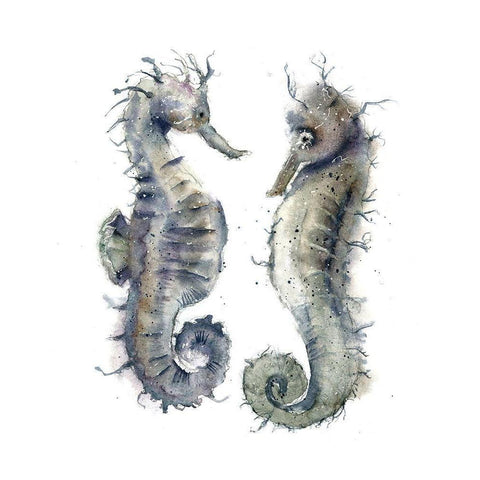 Seahorse Pair Black Modern Wood Framed Art Print with Double Matting by Shefranov, Olga
