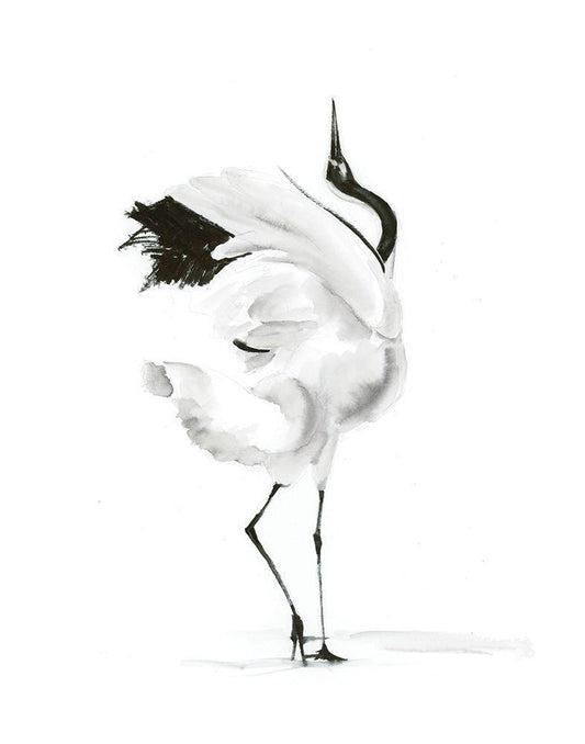 Image Only