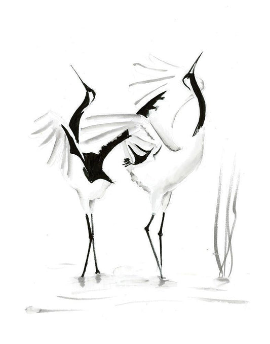 Image Only