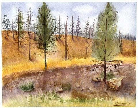 Lodge Landscape White Modern Wood Framed Art Print with Double Matting by Shefranov, Olga