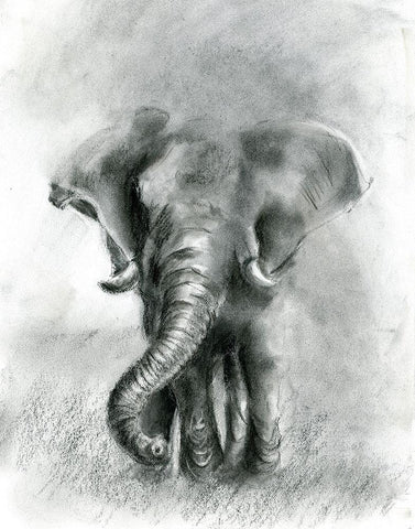 Elephant Joy BW Black Ornate Wood Framed Art Print with Double Matting by Shefranov, Olga