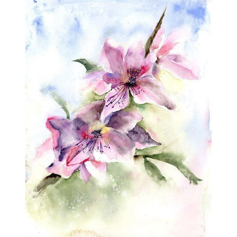 Purple Blossoms Black Modern Wood Framed Art Print with Double Matting by Shefranov, Olga