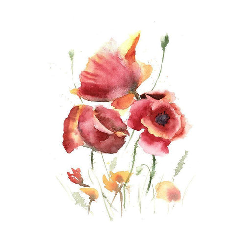 Poppies Black Modern Wood Framed Art Print with Double Matting by Shefranov, Olga