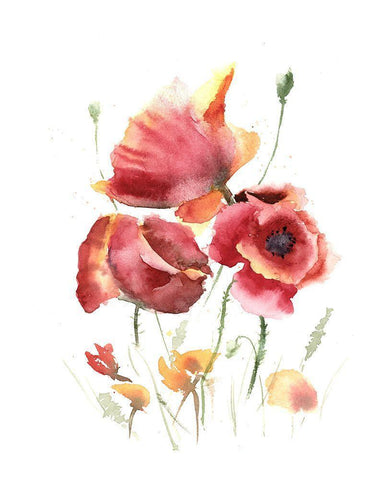 Poppies Black Ornate Wood Framed Art Print with Double Matting by Shefranov, Olga