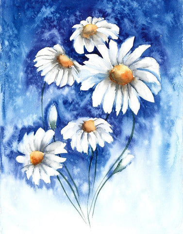 Daisies White Modern Wood Framed Art Print with Double Matting by Shefranov, Olga