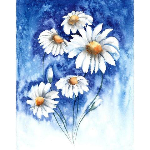 Daisies Black Modern Wood Framed Art Print with Double Matting by Shefranov, Olga