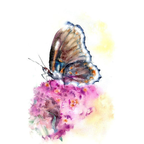 Butterfly Gold Ornate Wood Framed Art Print with Double Matting by Shefranov, Olga