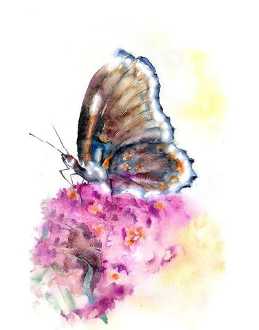 Butterfly Black Ornate Wood Framed Art Print with Double Matting by Shefranov, Olga