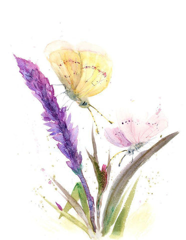 Two Butterflies White Modern Wood Framed Art Print with Double Matting by Shefranov, Olga